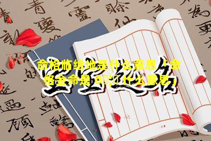 命格临绝地是什么意思「命格金命是 🦟 什么意思」